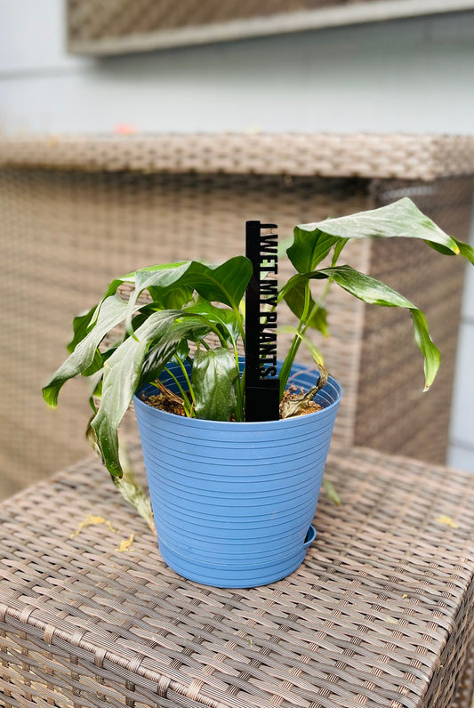 Garden stakes, funny garden stakes, gardening  fun